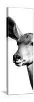 Safari Profile Collection - Antelope Impala Portrait White Edition X-Philippe Hugonnard-Stretched Canvas