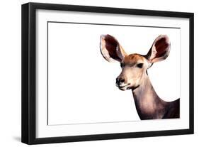 Safari Profile Collection - Antelope Impala Portrait White Edition-Philippe Hugonnard-Framed Premium Photographic Print