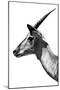 Safari Profile Collection - Antelope Impala White Edition V-Philippe Hugonnard-Mounted Photographic Print