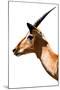 Safari Profile Collection - Antelope Impala White Edition VI-Philippe Hugonnard-Mounted Photographic Print