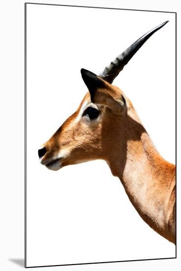 Safari Profile Collection - Antelope Impala White Edition VI-Philippe Hugonnard-Mounted Photographic Print