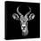 Safari Profile Collection - Antelope Portrait Black Edition III-Philippe Hugonnard-Stretched Canvas