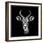 Safari Profile Collection - Antelope Portrait Black Edition III-Philippe Hugonnard-Framed Photographic Print