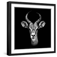 Safari Profile Collection - Antelope Portrait Black Edition III-Philippe Hugonnard-Framed Photographic Print