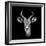 Safari Profile Collection - Antelope Portrait Black Edition III-Philippe Hugonnard-Framed Photographic Print