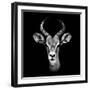 Safari Profile Collection - Antelope Portrait Black Edition III-Philippe Hugonnard-Framed Photographic Print