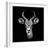 Safari Profile Collection - Antelope Portrait Black Edition III-Philippe Hugonnard-Framed Photographic Print