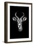 Safari Profile Collection - Antelope Portrait Black Edition-Philippe Hugonnard-Framed Premium Photographic Print