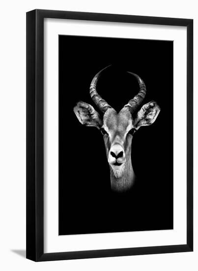 Safari Profile Collection - Antelope Portrait Black Edition-Philippe Hugonnard-Framed Premium Photographic Print