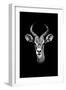 Safari Profile Collection - Antelope Portrait Black Edition-Philippe Hugonnard-Framed Premium Photographic Print