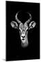 Safari Profile Collection - Antelope Portrait Black Edition-Philippe Hugonnard-Mounted Premium Photographic Print
