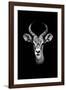 Safari Profile Collection - Antelope Portrait Black Edition-Philippe Hugonnard-Framed Photographic Print