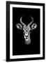 Safari Profile Collection - Antelope Portrait Black Edition-Philippe Hugonnard-Framed Photographic Print