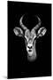 Safari Profile Collection - Antelope Portrait Black Edition-Philippe Hugonnard-Mounted Photographic Print