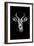 Safari Profile Collection - Antelope Portrait Black Edition-Philippe Hugonnard-Framed Photographic Print