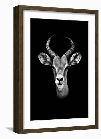 Safari Profile Collection - Antelope Portrait Black Edition-Philippe Hugonnard-Framed Photographic Print