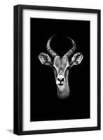 Safari Profile Collection - Antelope Portrait Black Edition-Philippe Hugonnard-Framed Photographic Print