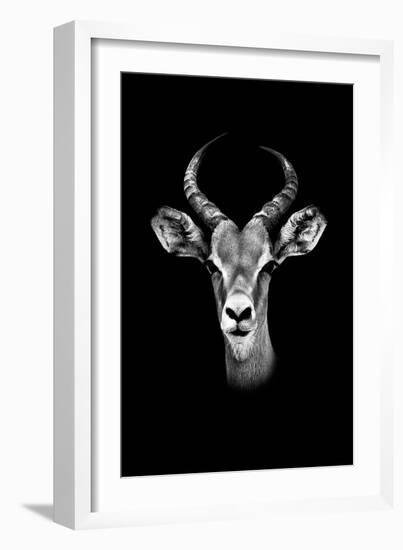 Safari Profile Collection - Antelope Portrait Black Edition-Philippe Hugonnard-Framed Photographic Print