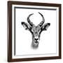 Safari Profile Collection - Antelope Portrait White Edition III-Philippe Hugonnard-Framed Photographic Print