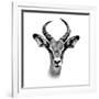Safari Profile Collection - Antelope Portrait White Edition III-Philippe Hugonnard-Framed Photographic Print