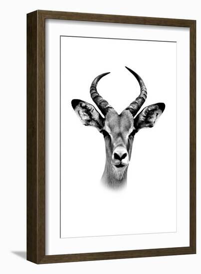 Safari Profile Collection - Antelope Portrait White Edition-Philippe Hugonnard-Framed Photographic Print