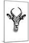 Safari Profile Collection - Antelope Portrait White Edition-Philippe Hugonnard-Mounted Photographic Print