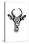 Safari Profile Collection - Antelope Portrait White Edition-Philippe Hugonnard-Stretched Canvas
