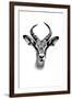 Safari Profile Collection - Antelope Portrait White Edition-Philippe Hugonnard-Framed Premium Photographic Print