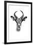 Safari Profile Collection - Antelope Portrait White Edition-Philippe Hugonnard-Framed Premium Photographic Print