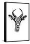 Safari Profile Collection - Antelope Portrait White Edition-Philippe Hugonnard-Framed Stretched Canvas