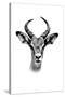 Safari Profile Collection - Antelope Portrait White Edition-Philippe Hugonnard-Stretched Canvas