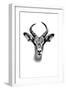Safari Profile Collection - Antelope Portrait White Edition-Philippe Hugonnard-Framed Premium Photographic Print