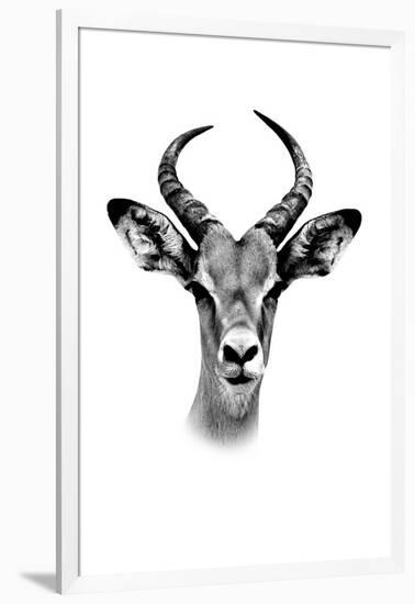Safari Profile Collection - Antelope Portrait White Edition-Philippe Hugonnard-Framed Photographic Print