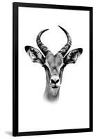 Safari Profile Collection - Antelope Portrait White Edition-Philippe Hugonnard-Framed Photographic Print