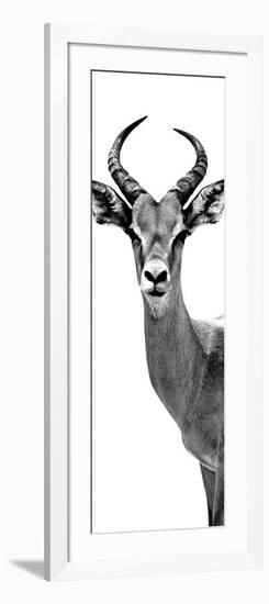Safari Profile Collection - Antelope White Edition III-Philippe Hugonnard-Framed Photographic Print
