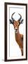 Safari Profile Collection - Antelope White Edition IV-Philippe Hugonnard-Framed Photographic Print