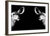 Safari Profile Collection - Antelopes Impalas Face to Face Black Edition II-Philippe Hugonnard-Framed Photographic Print