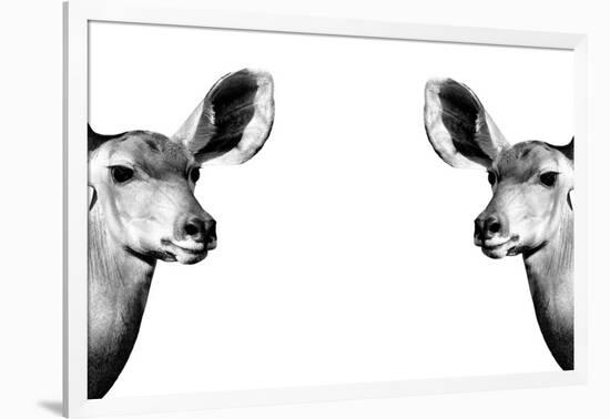 Safari Profile Collection - Antelopes Impalas Face to Face White Edition II-Philippe Hugonnard-Framed Photographic Print