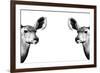 Safari Profile Collection - Antelopes Impalas Face to Face White Edition II-Philippe Hugonnard-Framed Photographic Print