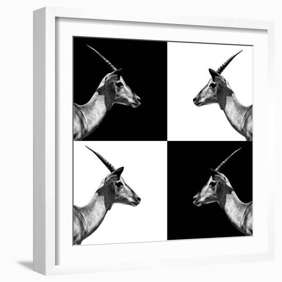 Safari Profile Collection - Antelopes Impalas II-Philippe Hugonnard-Framed Photographic Print