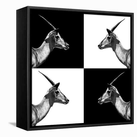 Safari Profile Collection - Antelopes Impalas II-Philippe Hugonnard-Framed Stretched Canvas