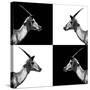 Safari Profile Collection - Antelopes Impalas II-Philippe Hugonnard-Stretched Canvas