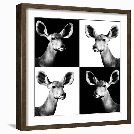 Safari Profile Collection - Antelopes Impalas Portraits II-Philippe Hugonnard-Framed Photographic Print