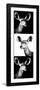 Safari Profile Collection - Antelopes Impalas Portraits III-Philippe Hugonnard-Framed Photographic Print