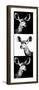 Safari Profile Collection - Antelopes Impalas Portraits III-Philippe Hugonnard-Framed Photographic Print