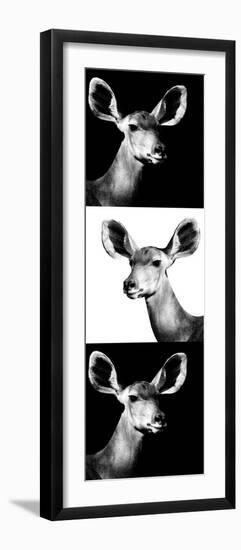 Safari Profile Collection - Antelopes Impalas Portraits III-Philippe Hugonnard-Framed Photographic Print