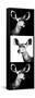 Safari Profile Collection - Antelopes Impalas Portraits III-Philippe Hugonnard-Framed Stretched Canvas
