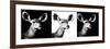 Safari Profile Collection - Antelopes Impalas Portraits IV-Philippe Hugonnard-Framed Photographic Print