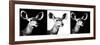 Safari Profile Collection - Antelopes Impalas Portraits IV-Philippe Hugonnard-Framed Photographic Print