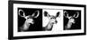 Safari Profile Collection - Antelopes Impalas Portraits IV-Philippe Hugonnard-Framed Photographic Print